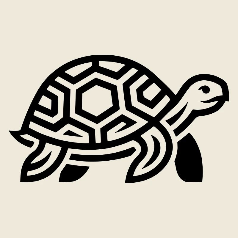 tortue