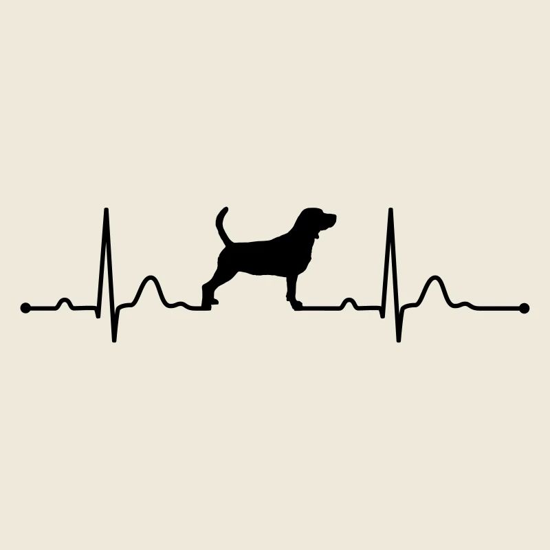 BEAGLE rythme cardiaque du rythme cardiaque