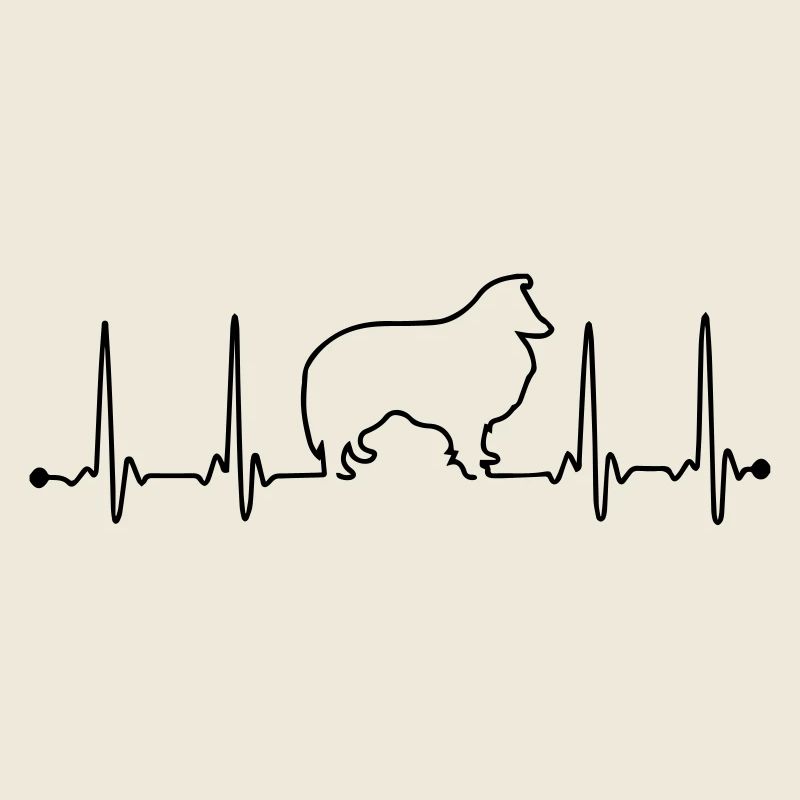 Sheltie Herzfrequenz