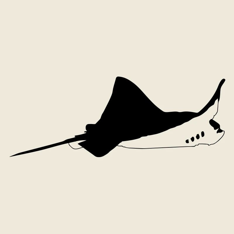 Manta ray