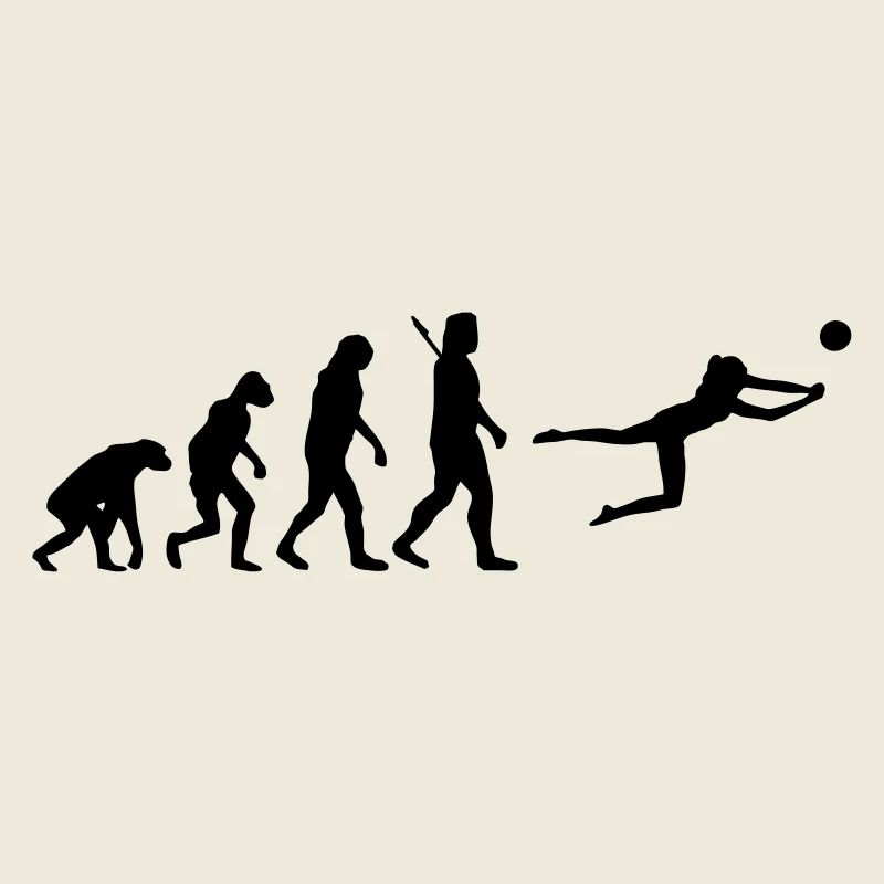 Evolution Beachvolleyball