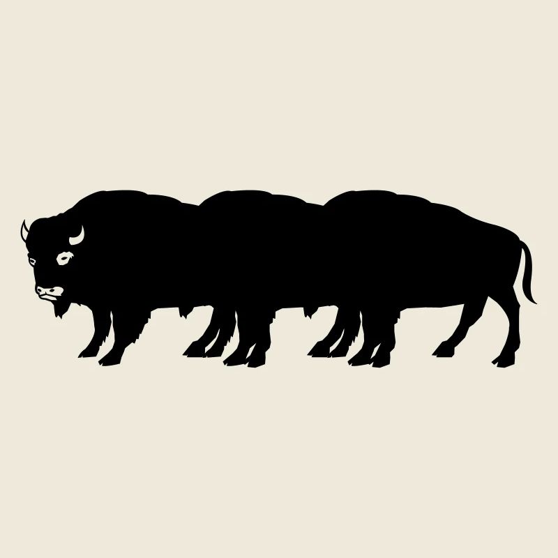 bisons