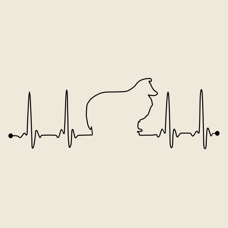 Sheltie Herzfrequenz