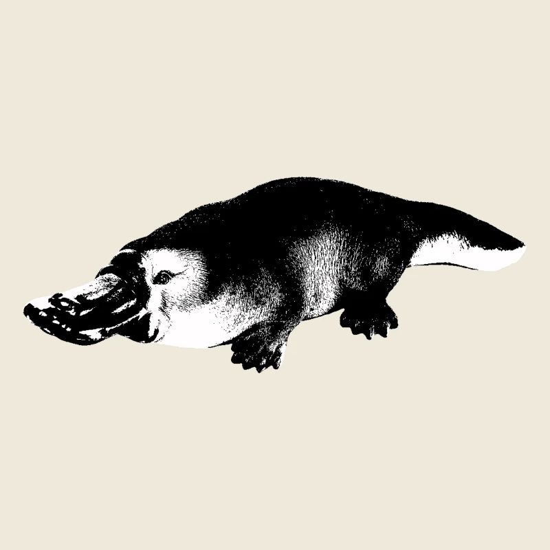 Ornithorynque