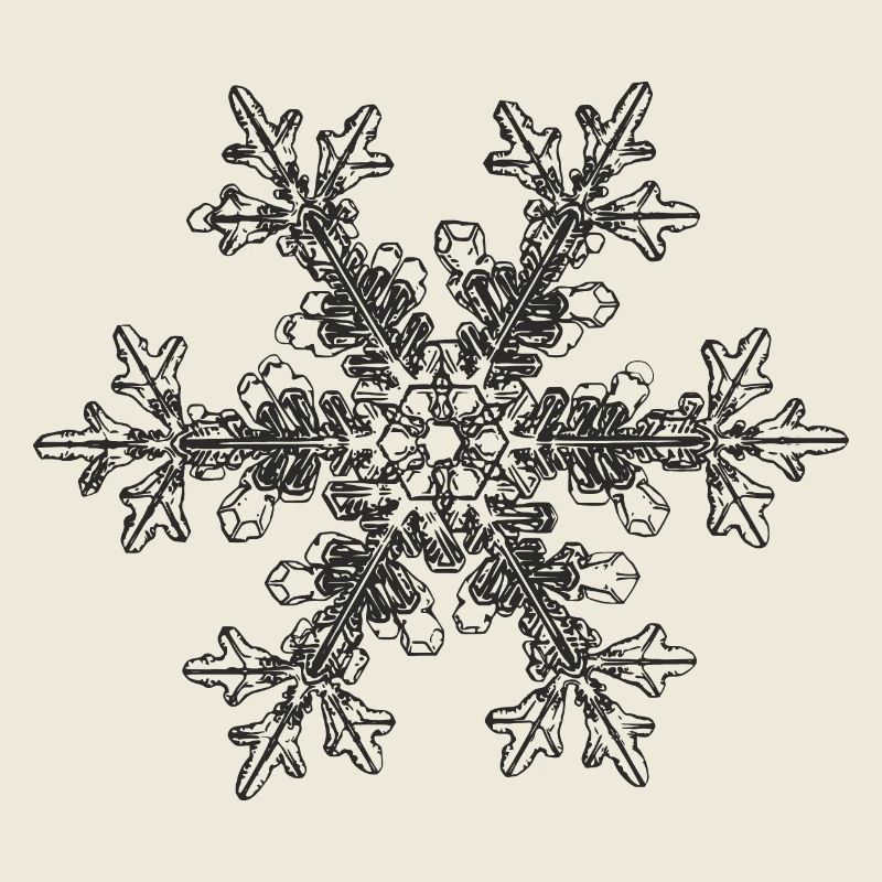 snowflake 7 black