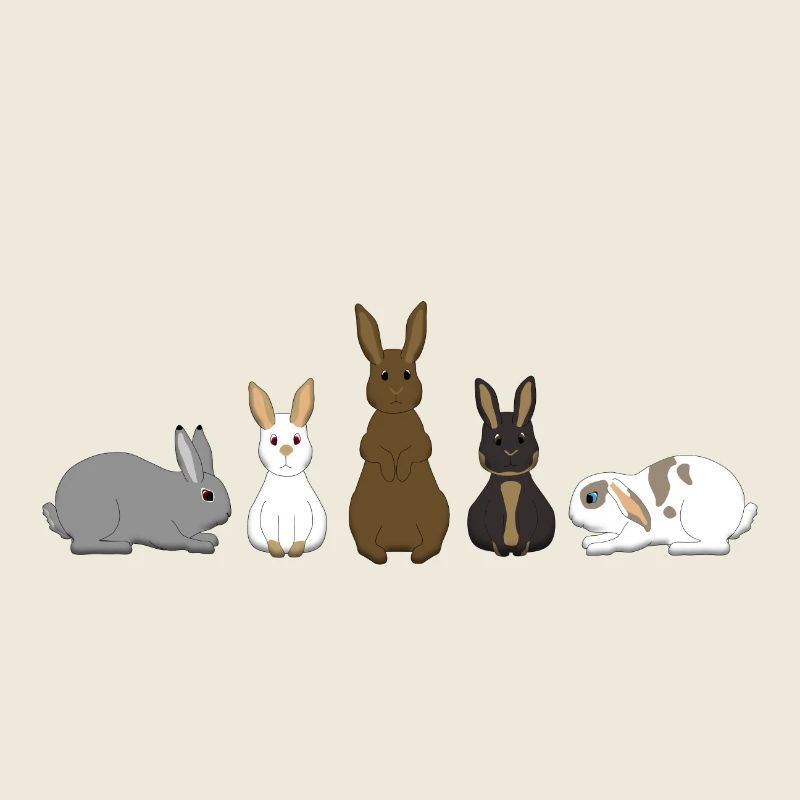 5 Lapin