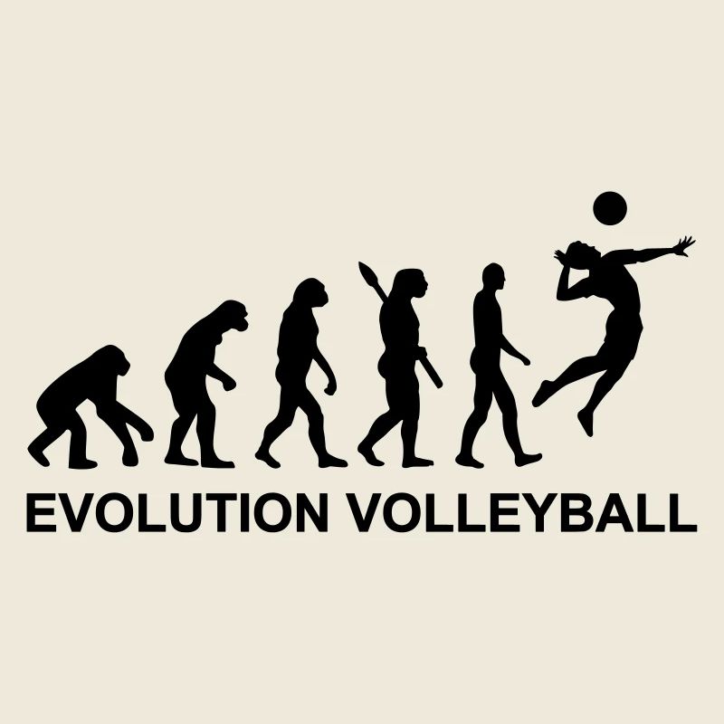Evolution Volleyball