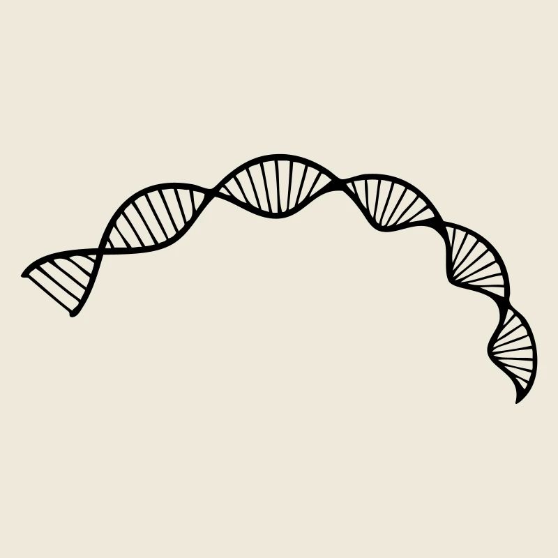 ADN Structure de la double hélice séquence cellule