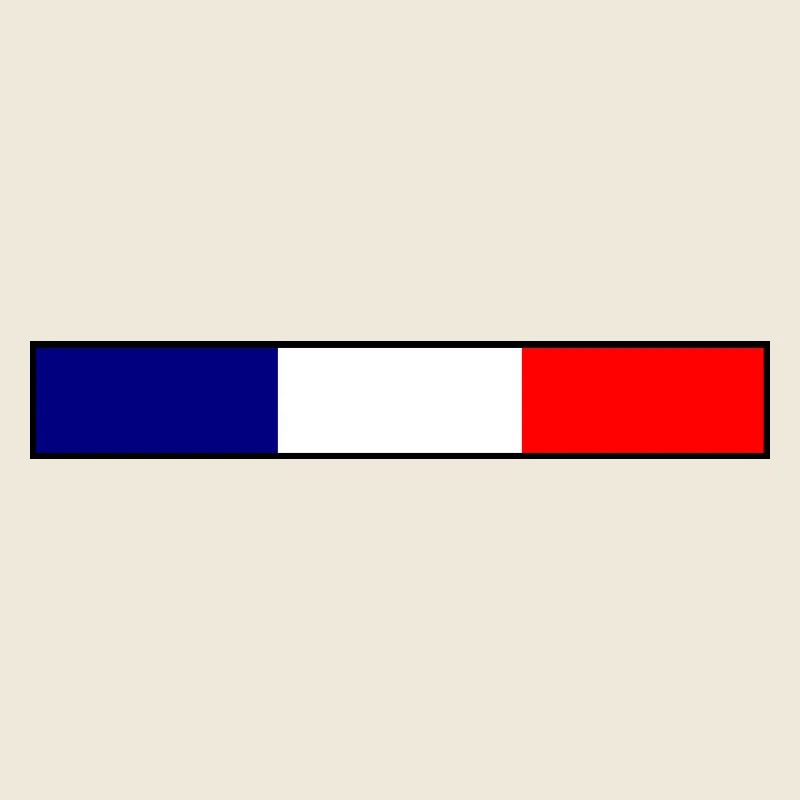 France Flag