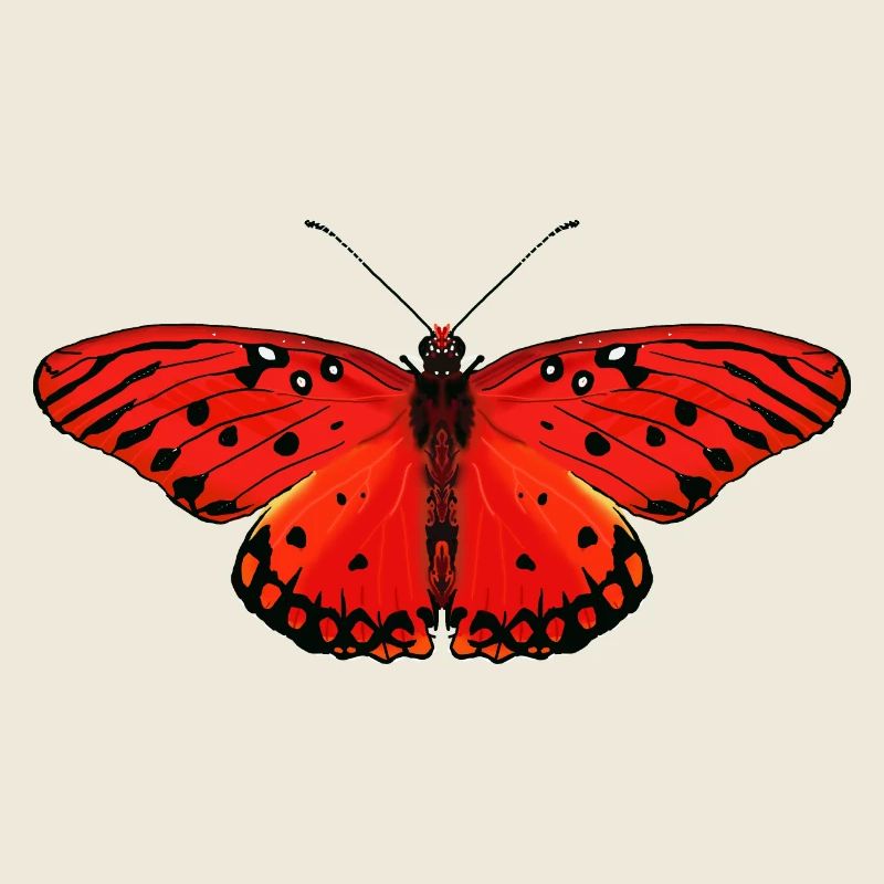 Fiery red butterfly
