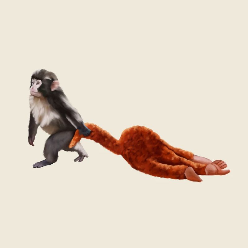 Punch - das kleine Äffchen