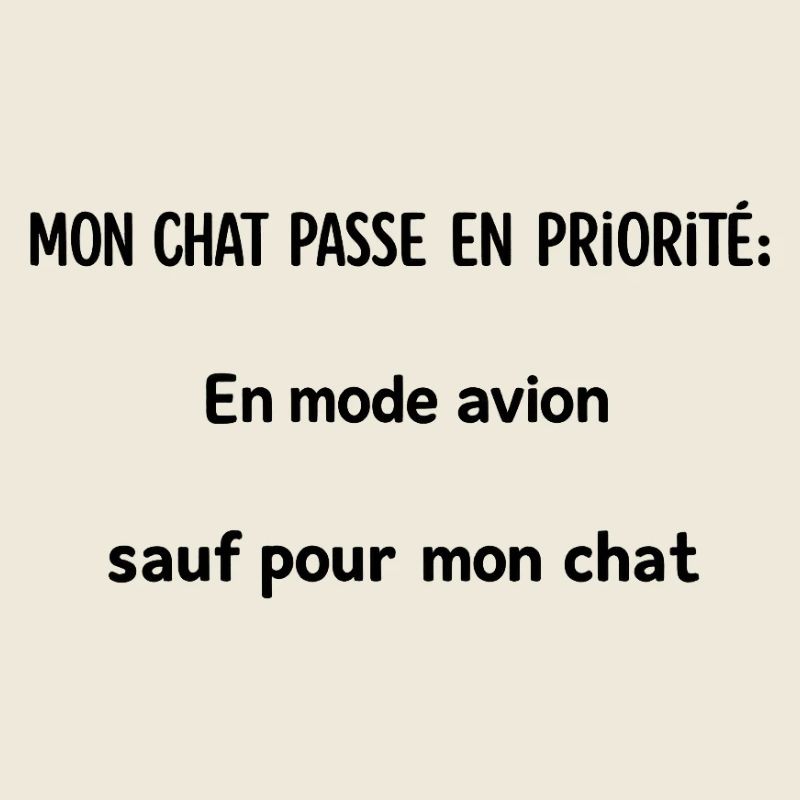 Mon chat passe en priorité.