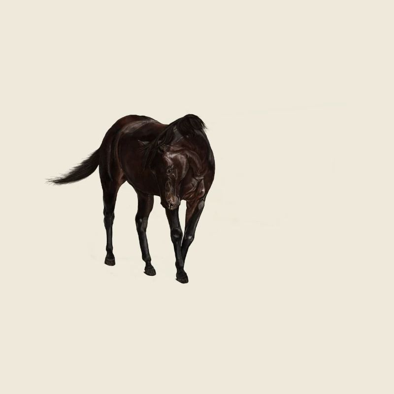 Cheval