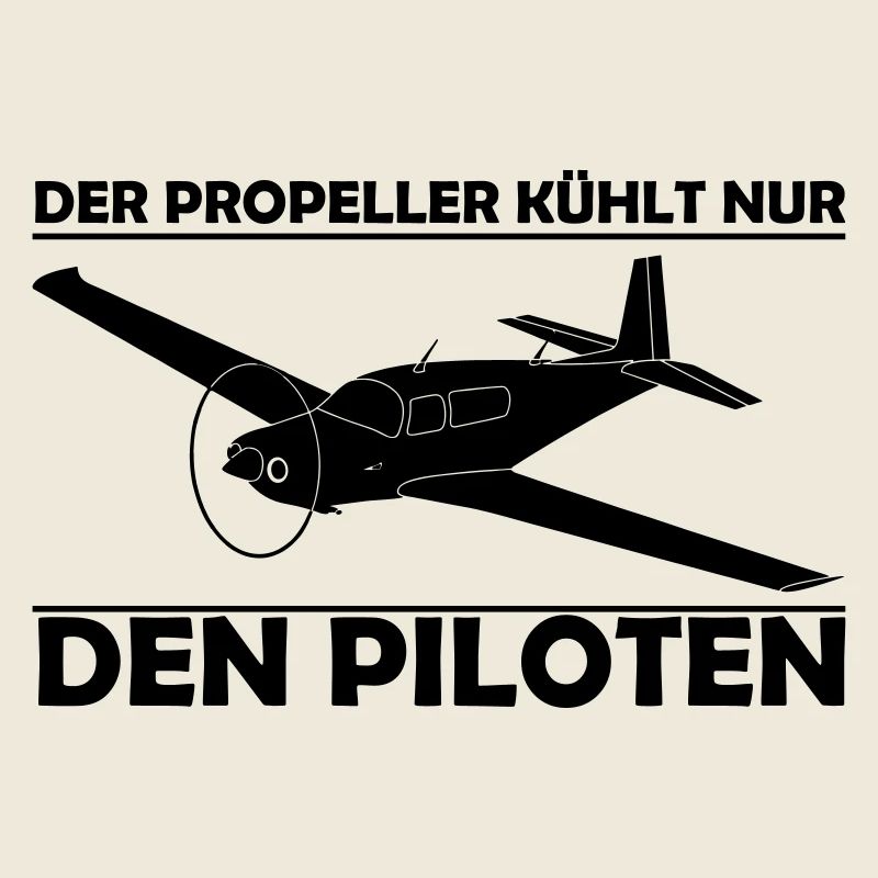 Mooney Motorflugzeug Geschenk