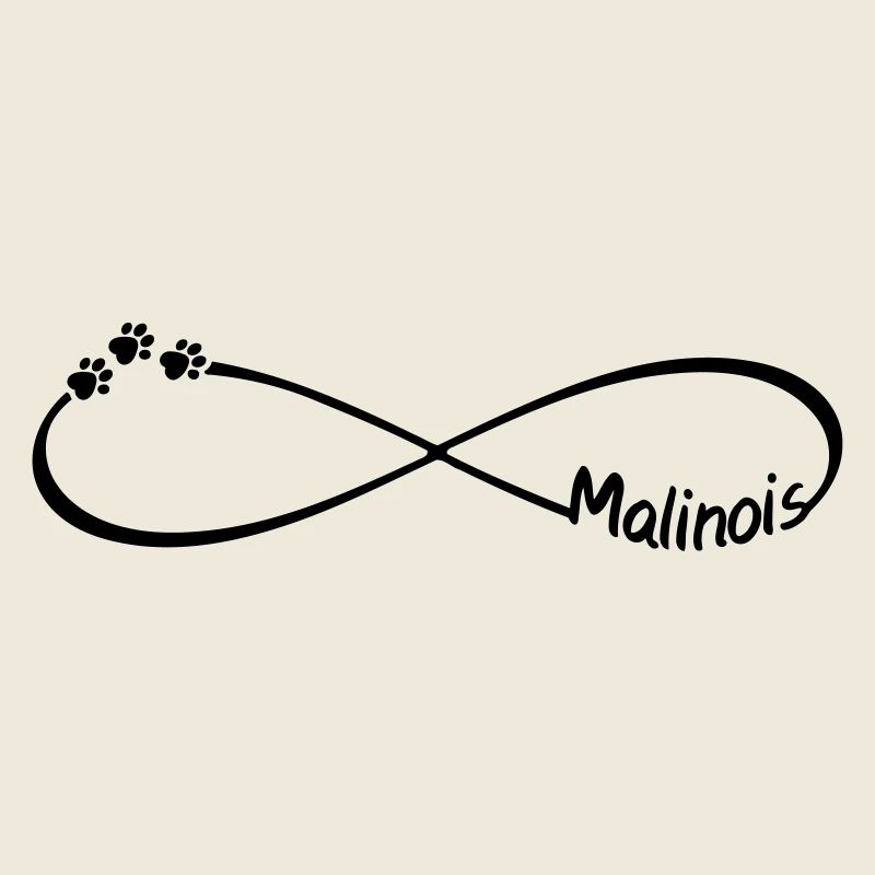 Malinois chiens de berger Infinity