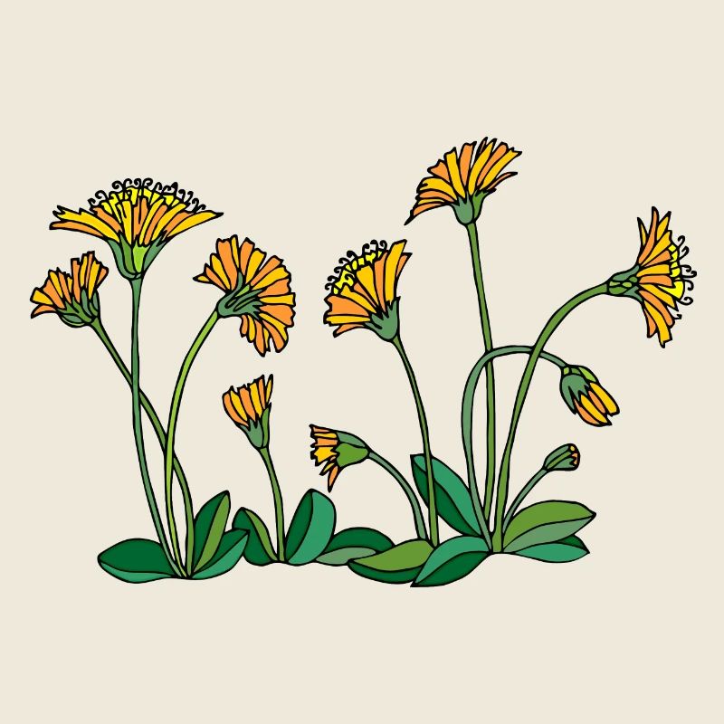 Fleur