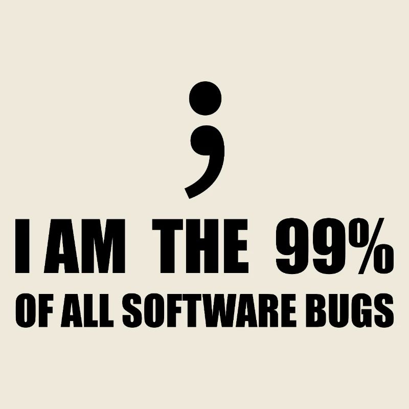 Informatiker, Programmierer