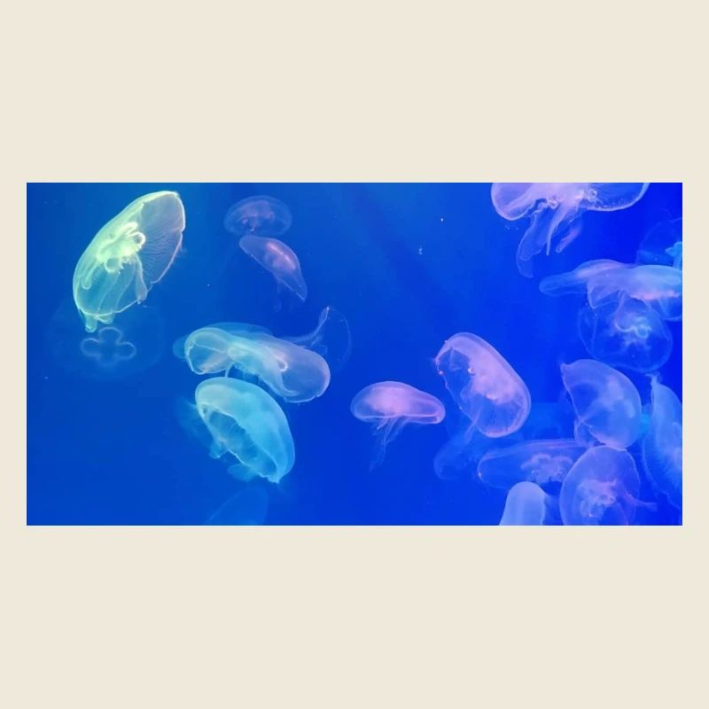 Blue jellyfish pattern