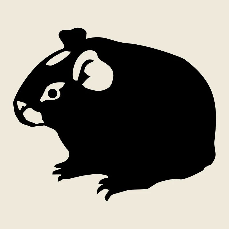 guinea pig (02) twocoloured