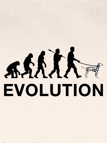 Evolution