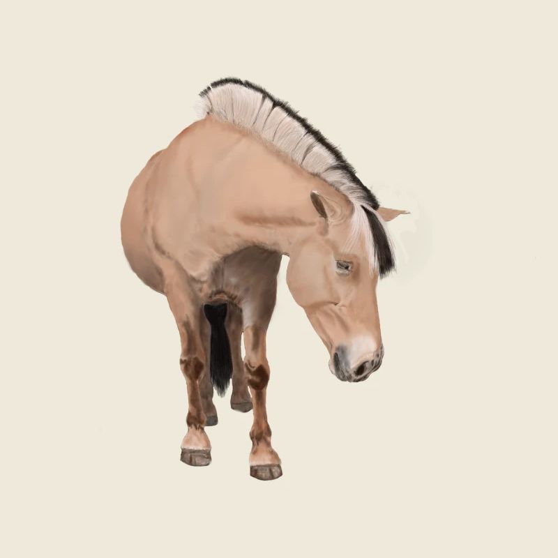 Pferd