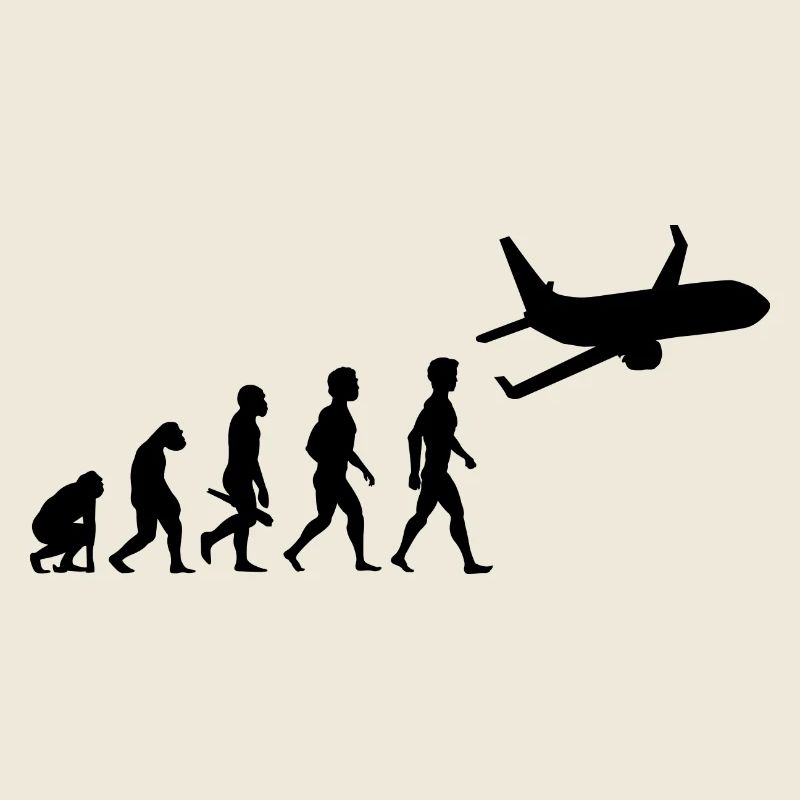 plane fliers fly evolution pilots cockpit