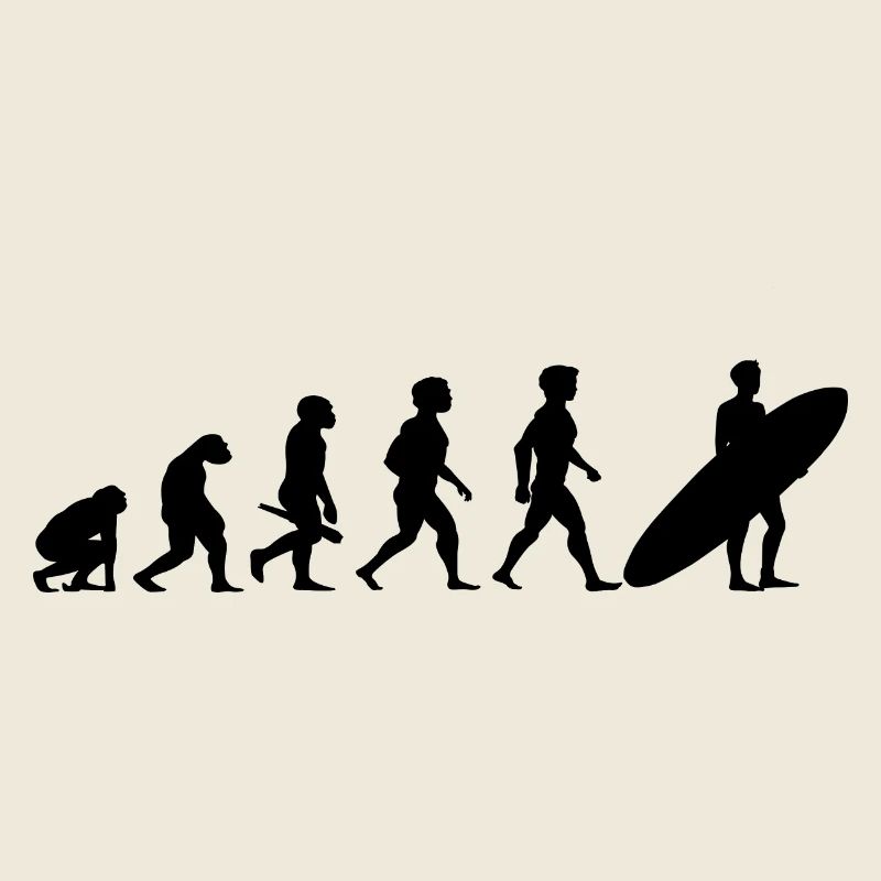 Evolution Surf Surfers surf surf