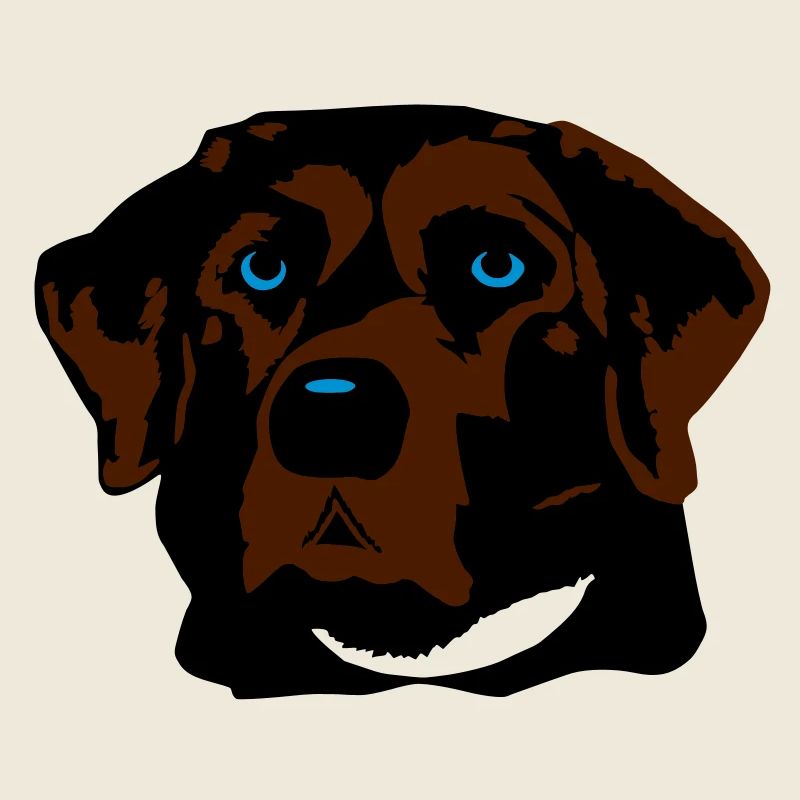 Labrador braun, blond oder schwarz