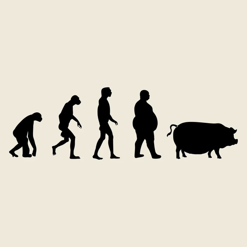 Evolution du singe à l'homme de porc