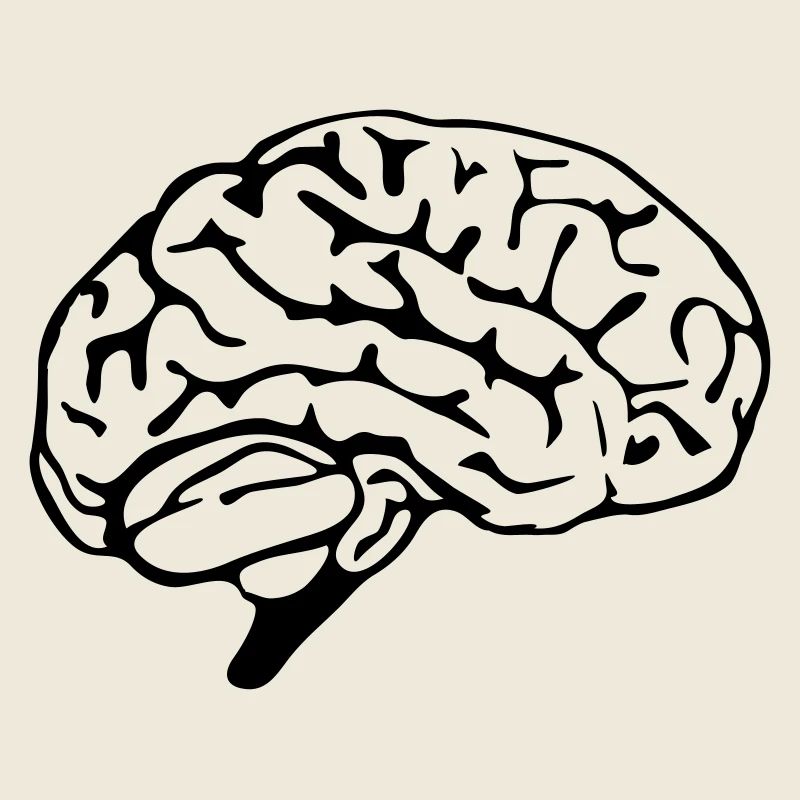 brain design