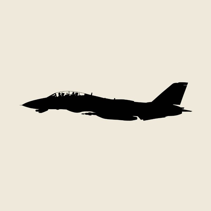 F-14