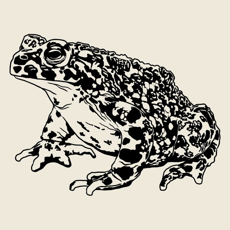 Toad Frog Graphic Aquatic Amphibian Frog Lovers