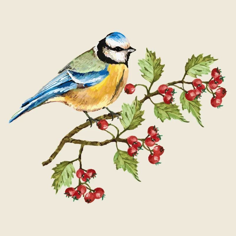Oiseau coloré