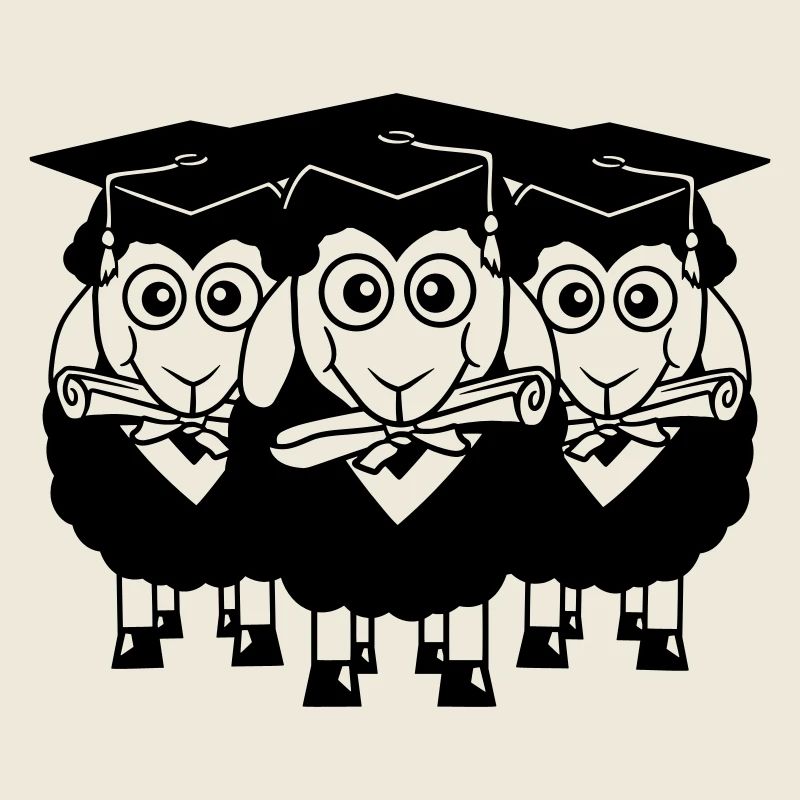 3 Sheep Certificate College Abi Three Students Team