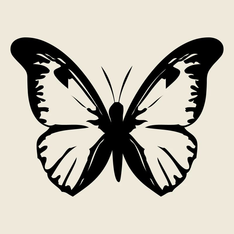 Schmetterling