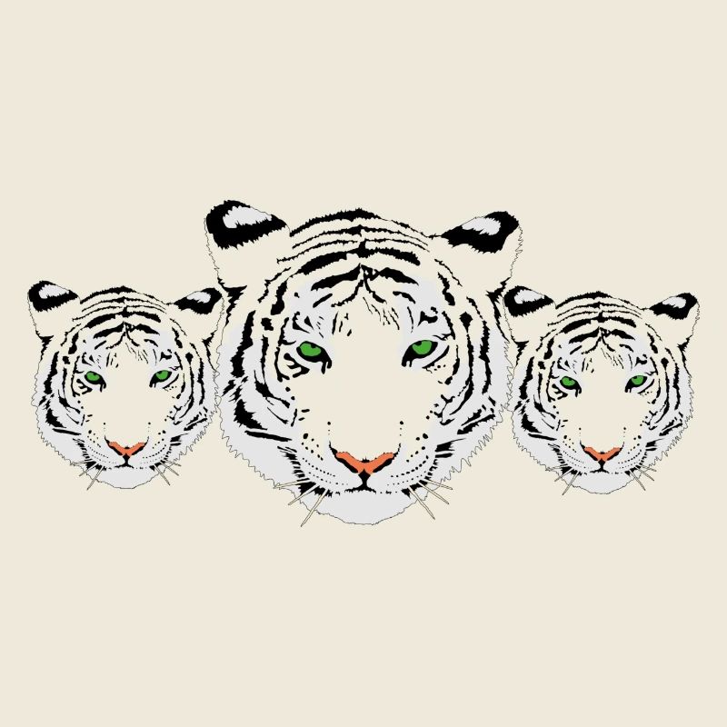 tigre blanc