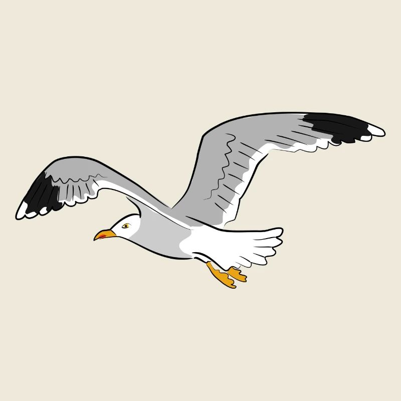 moewe vogel strand