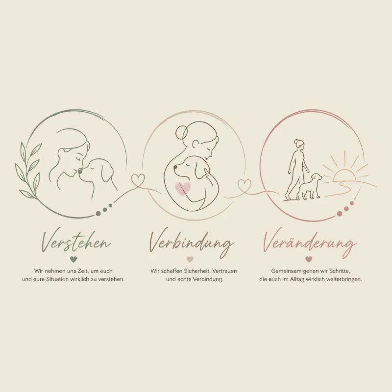 Verstehen Verbinden Verändern