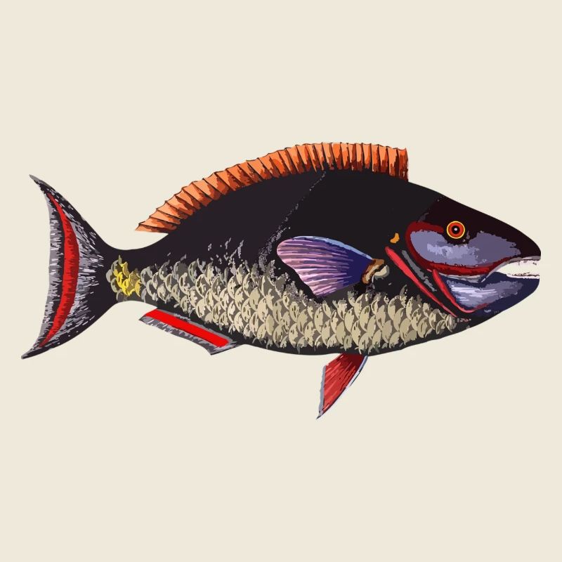 poisson