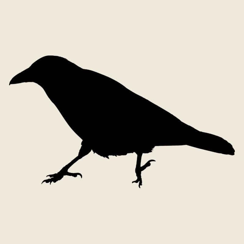 Corbeau Corbeau Silhouette