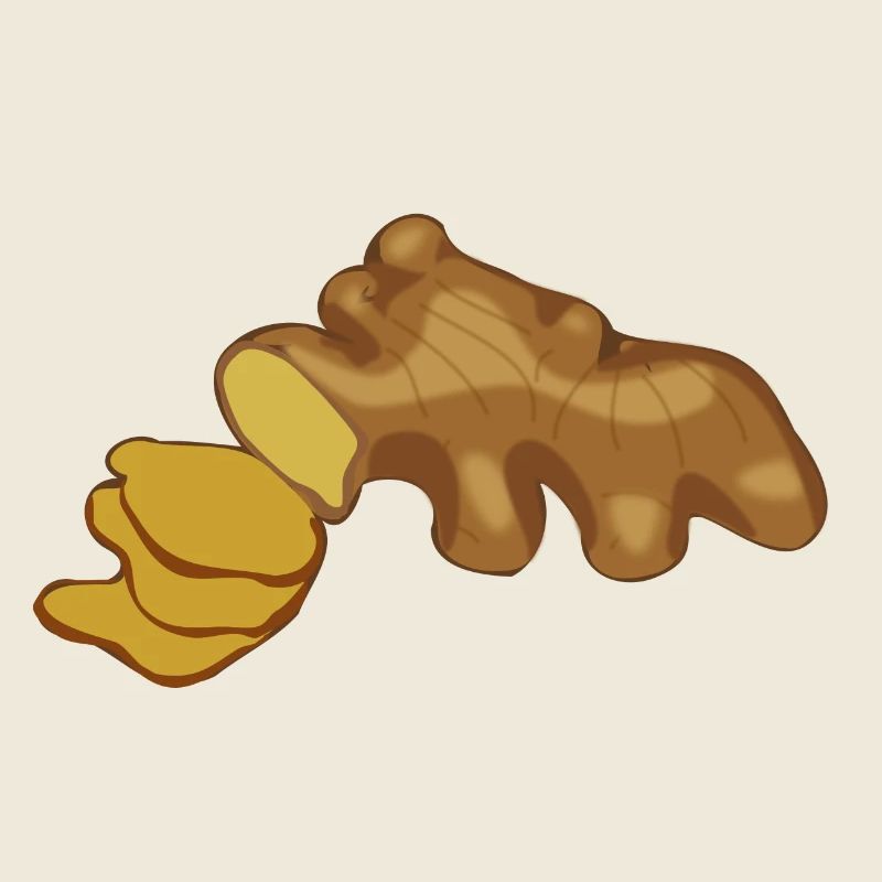 ginger ginger veggie gemuese vegetable1