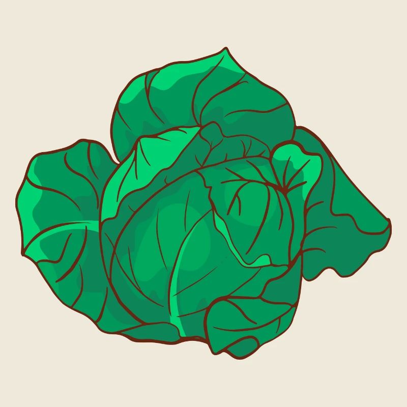 White cabbage white cabbage white-kabis caps capes kappus