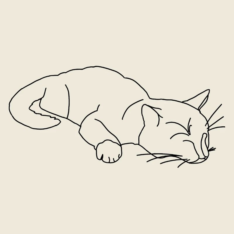 Croquis du chat endormi