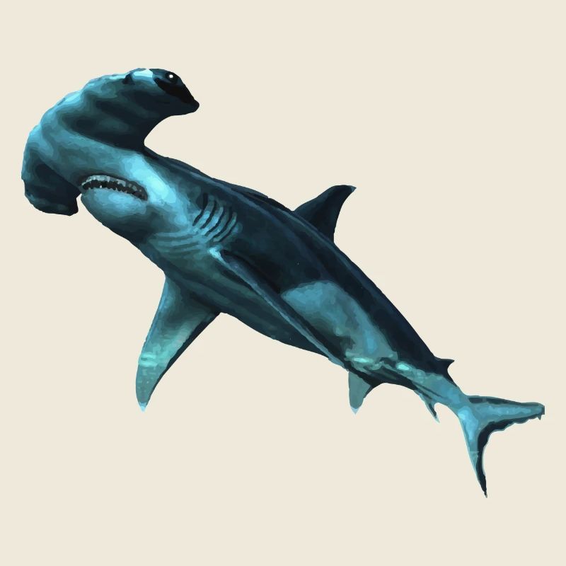 Requin
