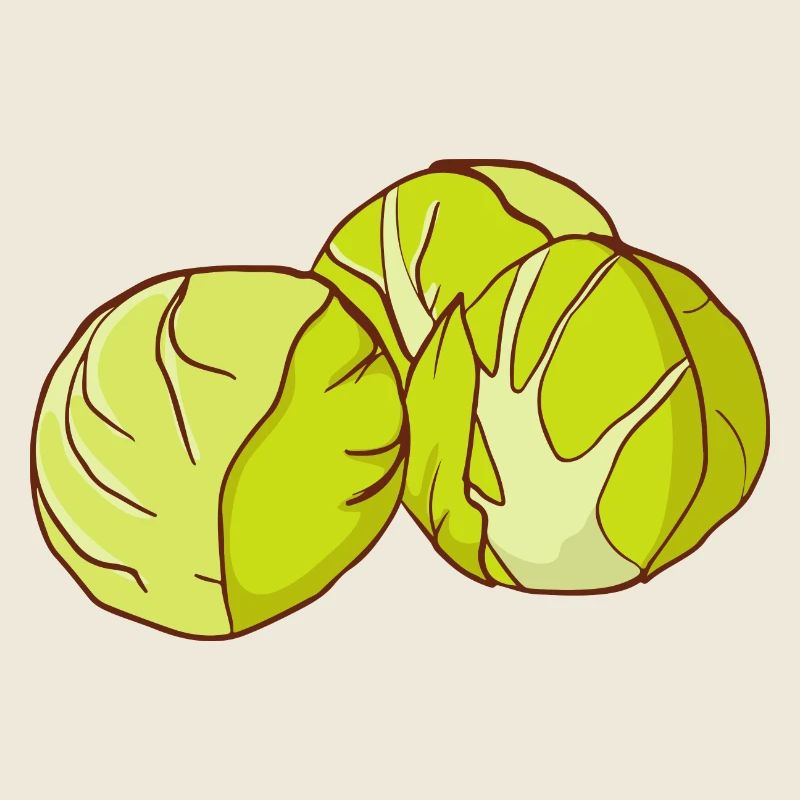 Brussels sprouts Brussels cabbage sprouts cabbage sprouts