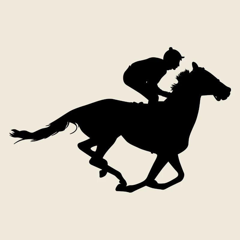 Equestrian Riding Rider Equestrian equestrian