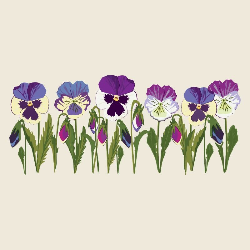 Rangée de fleurs de pensée en violet