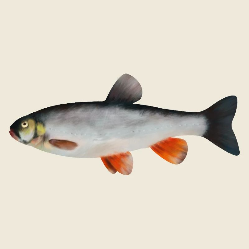 Döbel