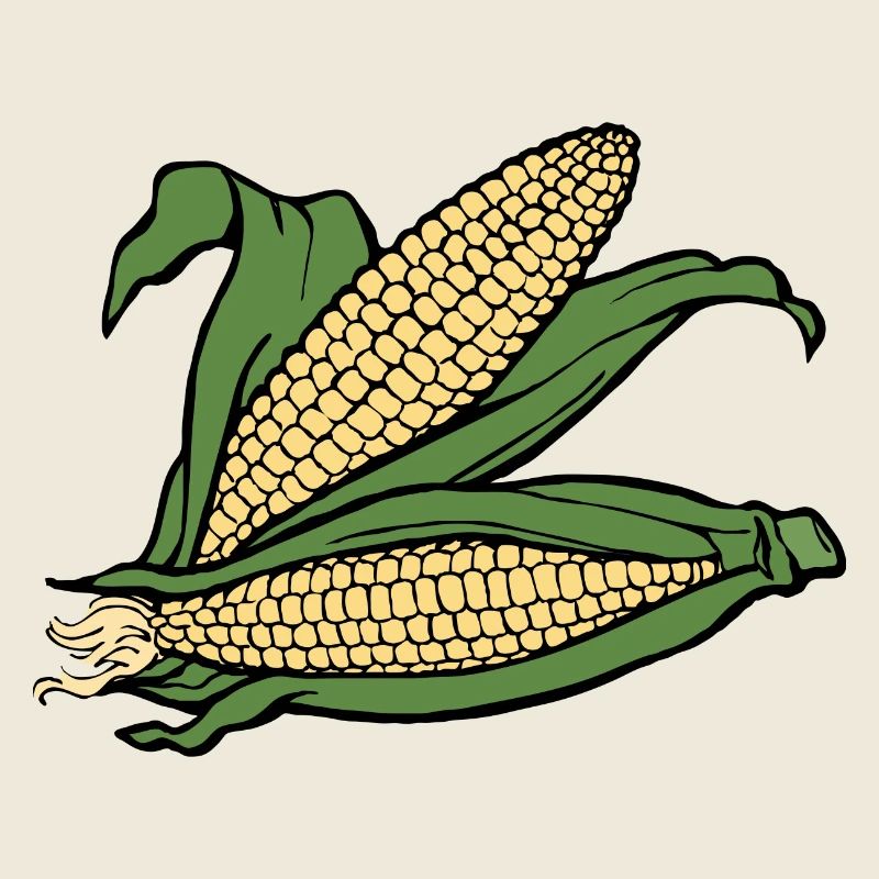 mais corn maize getreide veggie gemuese vegetables