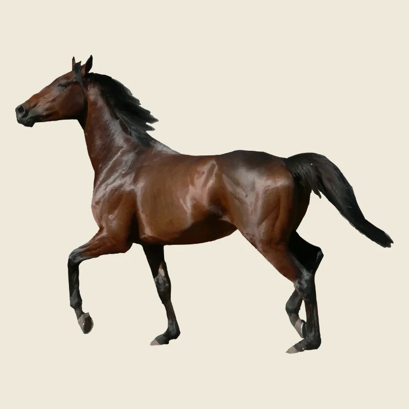 Pferd